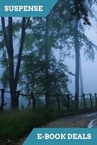 Christian Fiction - Thrillers: Nov 23/25