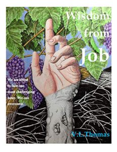 Wisdom from Job