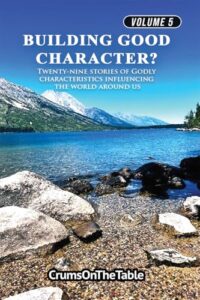 Building Good Character?: Twenty-Nine Stories of Godly Characteristics Influencing the World Around Us